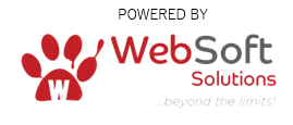 Websoft Logo
